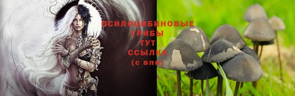 MDMA Белокуриха