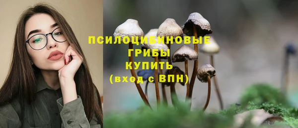 герыч Сосновоборск