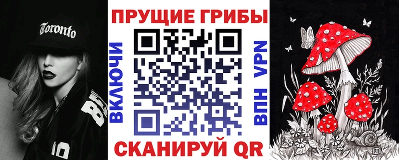 kraken ТОР  сколько стоит  Макаров  Псилоцибиновые грибы мухоморы 